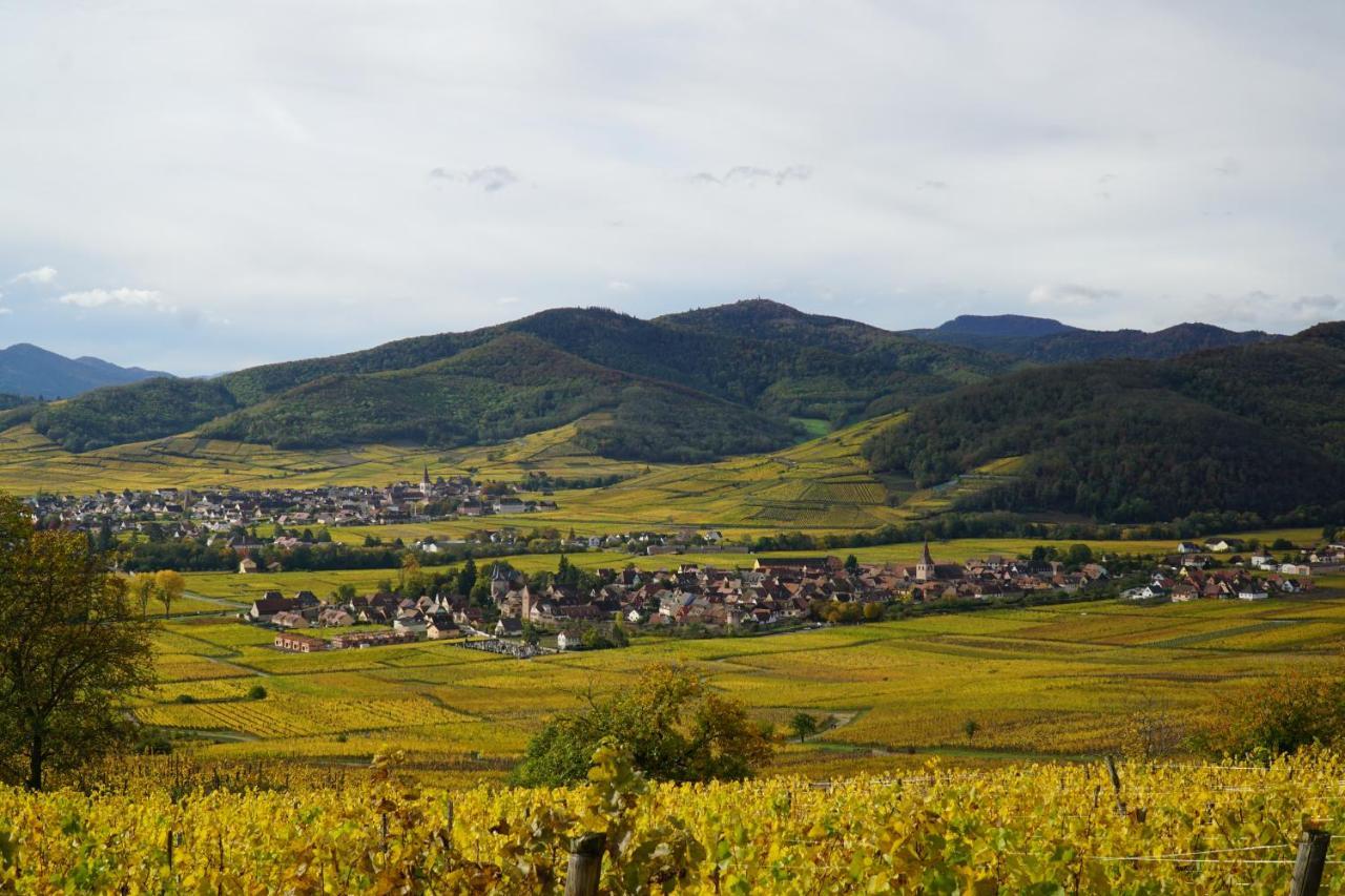 Gite Du Xve Kaysersberg-Vignoble Exterior photo